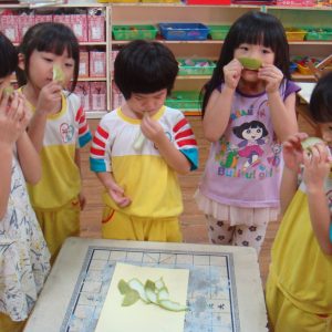 觀察與探究